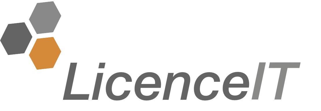 LicenceIT Logo